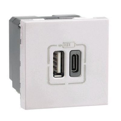 Arteor USB Dbl SO 2.4A MG